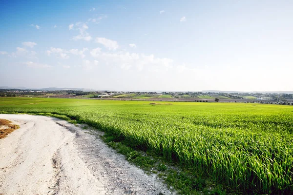 Landskap Naturen Himlen Med Molnigt Och Vägbana Genom Vintergrön Skog — Stockfoto