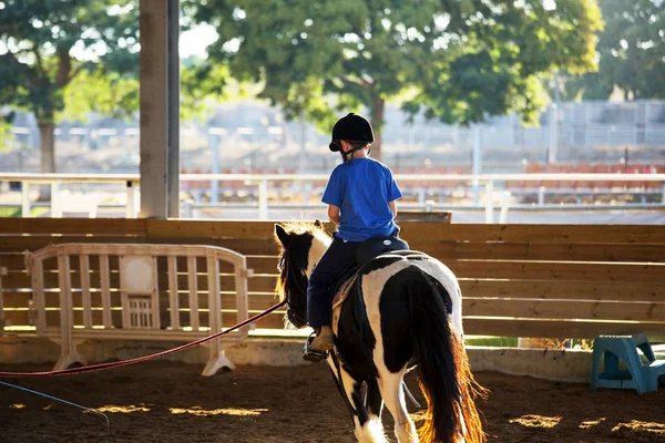 Портрет маленького мальчика верхом на лошади. Первые уроки верховой езды — стоковое фото