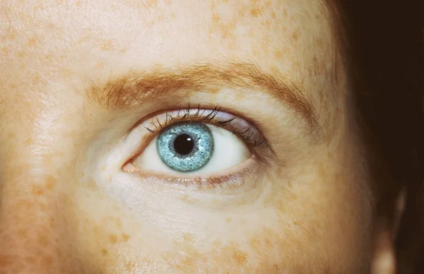 Un bellissimo sguardo perspicace occhio di donna. — Foto Stock