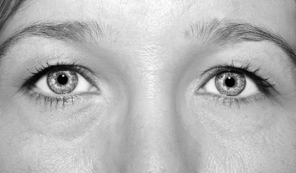 Красивый проницательный взгляд женские глаза. — стоковое фото