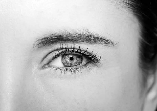Un bellissimo sguardo perspicace occhio di donna. — Foto Stock