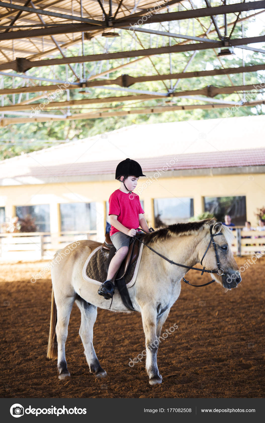 Un niño montado en un caballo. Primeras lecciones de equitación — Foto de  stock #177082508 © Viculia, image size:1067x1700