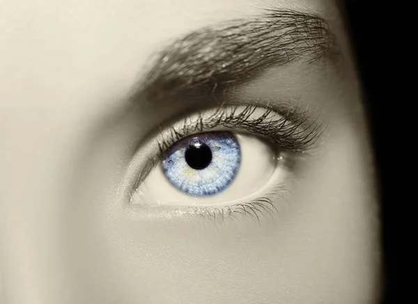 Красивий проникливий вигляд жіночого ока . — стокове фото