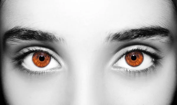 Olhos de uma bela mulher olhar perspicaz. — Fotografia de Stock