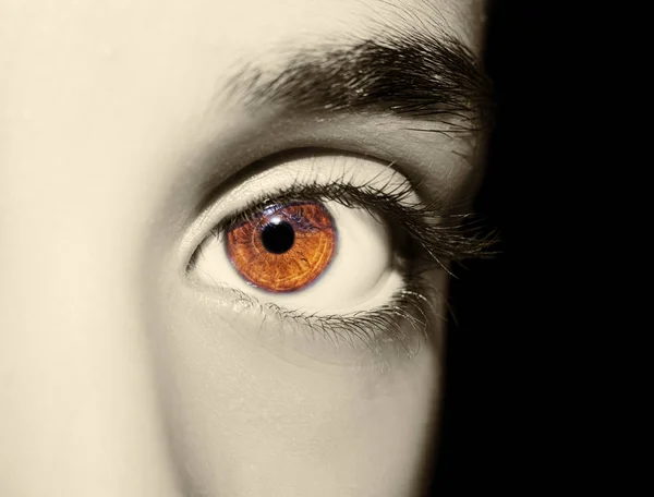Piękne wnikliwe spojrzenie kobiecego oka. — Zdjęcie stockowe