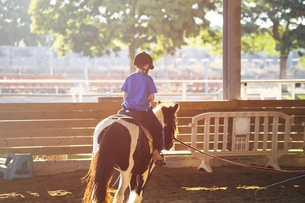 Portrait of little boy riding a horse. First lessons of horseback riding — Stock Photo, Image