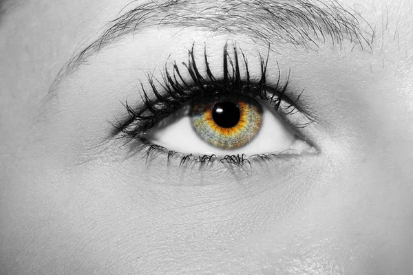 Piękne wnikliwe spojrzenie kobiecego oka. — Zdjęcie stockowe
