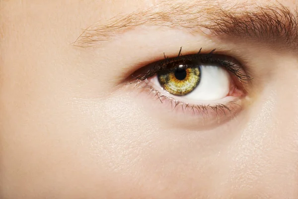 Un bellissimo sguardo perspicace occhio di donna. Colpo da vicino — Foto Stock