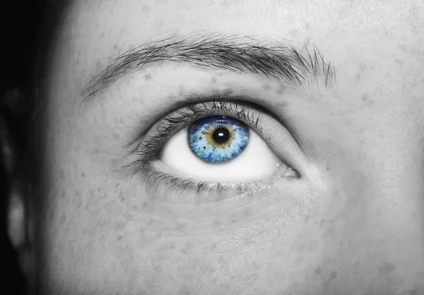 A beautiful insightful look women's eye. Close up shot — Stock Photo, Image