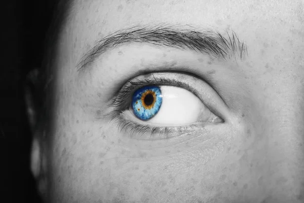 A beautiful insightful look women's eye. Close up shot — Stock Photo, Image