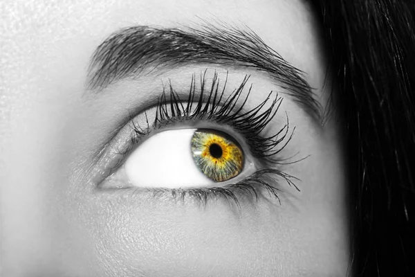 A beautiful insightful look woman's eye. Close up shot — Stock Photo, Image