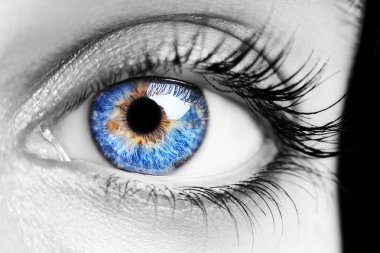 Güzel bir anlayışlı kadın bakışı. Yakın çekim.