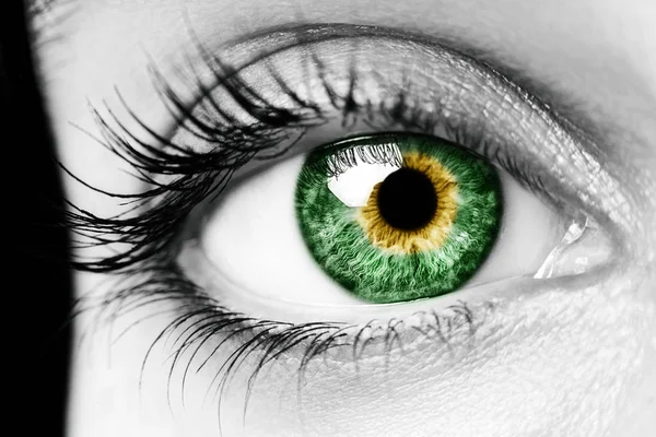 A beautiful insightful look woman's eye. Close up shot — Stock Photo, Image