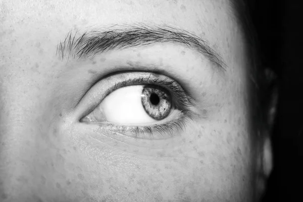 Un bellissimo sguardo perspicace occhio femminile. Colpo da vicino — Foto Stock