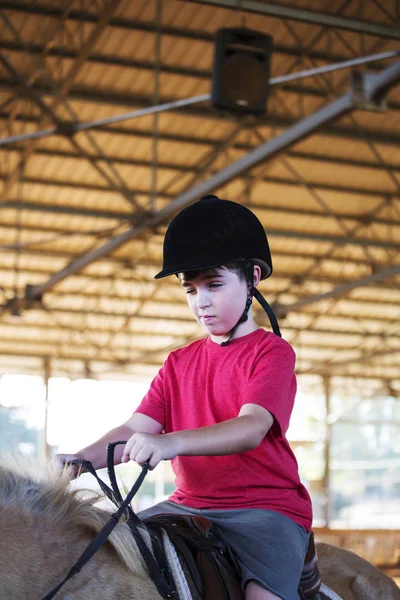 A little boy riding a horse. First lessons of horseback riding — Stock Photo, Image