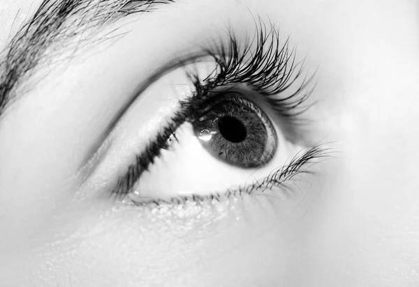 Krásný pronikavý pohled ženského oka. — Stock fotografie