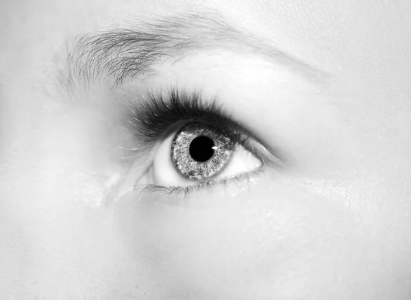 아름다운 통찰력있는 눈 — 스톡 사진