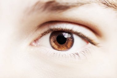 Güzel, anlayışlı bir adam bakışı. Yakın çekim..