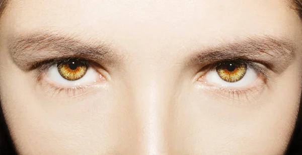 A beautiful insightful look woman's eye. Close up shot — Stock Photo, Image