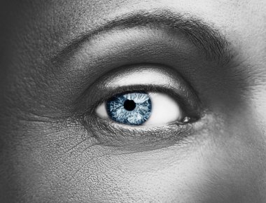 Glamour parlak metalik profesyonel makyaj. Güzel göz yakın çekim