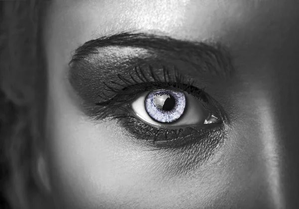Glamour shiny metallic professional makeup. Beautiful eye close up — Stock Photo, Image