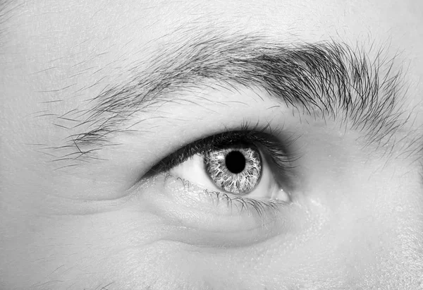 남자의 파란 눈의 이미지 — 스톡 사진
