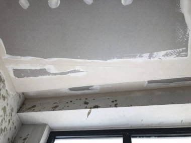 Site oluşturma, inşaat ve Duvar Dekorasyon iç