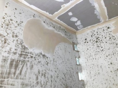 Site oluşturma, inşaat ve Duvar Dekorasyon iç