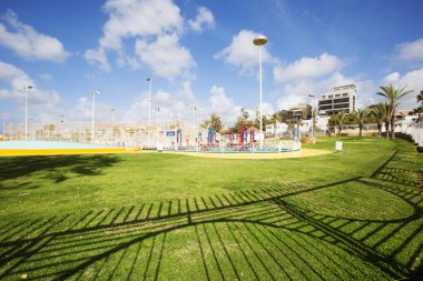 Nahariya, İsrail-Mart 9, 2018: Güzel mavi güneşli gün. Sıcak yaz günlerinin gökyüzü karşı ağacı palmiye ağaçlarında.