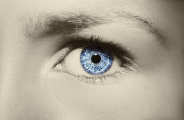 Güzel, anlayışlı bir bakış.