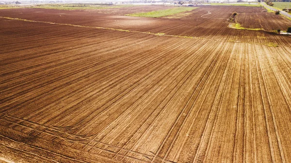 Land at rest after harvest waiting to be plowed in Israel — Stock Photo, Image