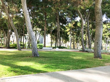 Nahariya, İsrail için yaz güneşli beyaz fener ile yeşil park