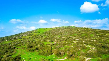 Güneşli bir gün yeşil bir manzarada havadan bakış. Doğa arka plan.