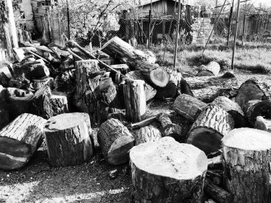 Bahar hava, güneşli gökyüzü, çiçekli ağaçlar köyde. Köy bahçesinde kıyılmış yakacak odun