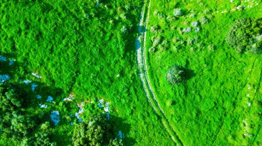 Güneşli bir gün yeşil bir manzarada havadan bakış. Doğa arka plan.