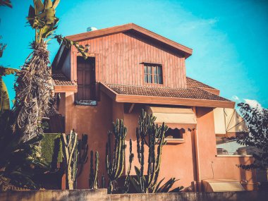 Rishon Le Zion, İsrail-Kasım 30, 2017: Tuğla renkli evin yakınında büyük kaktüsler ile güzel bir. Büyük bir bina 