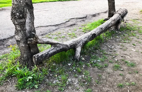 Um banco feito de uma árvore deitada na estrada — Fotografia de Stock