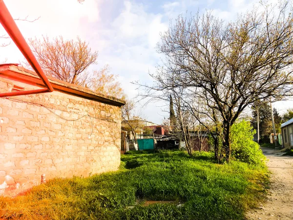 Весняна погода, сонячне небо, квітучі дерева в селі . — стокове фото