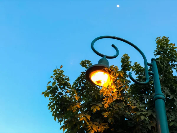 Ένα φωτεινό φανάρι εναντίον του γαλάζιου ουρανού βγαίνει από το μέσο των δέντρων. Γκρο πλαν — Φωτογραφία Αρχείου