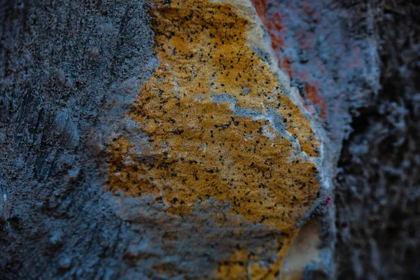 Menutup dinding batu alami. Tekstur dinding batu — Stok Foto