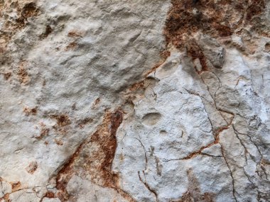 Doğal taş duvarı kapatın. Taş duvar dokusu 