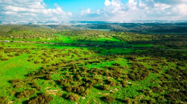 Güneşli bir gün yeşil bir manzarada havadan bakış. Doğa arka plan.
