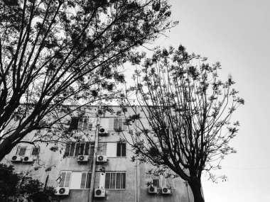 Rishon Le Zion, İsrail-23 Nisan 2018: yüksek konut bina Rishon Le Zion, İsrail.