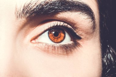 Güzel anlayışlı bakışlar Kahverengi kadın gözleri.