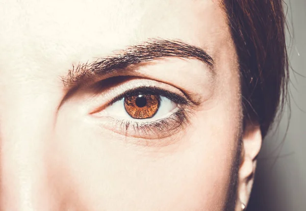 Güzel anlayışlı bakışlar Kahverengi kadın gözleri. — Stok fotoğraf