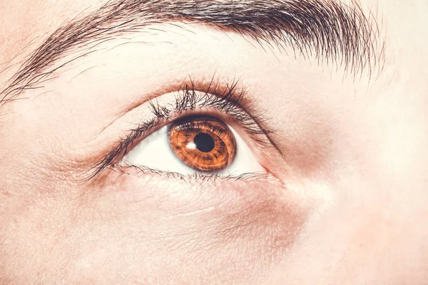 Adamın kahverengi göz görüntüsünü kapat — Stok fotoğraf