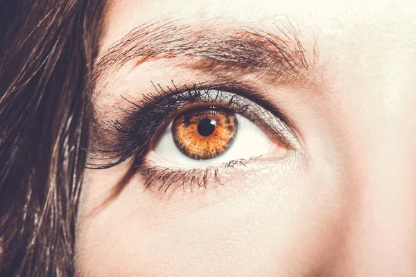 Maquillaje de ojos. Hermosos ojos Maquillaje detalle, extensión de pestañas . — Foto de Stock