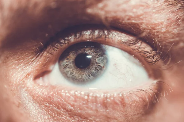 Зображення людського ока крупним планом — стокове фото