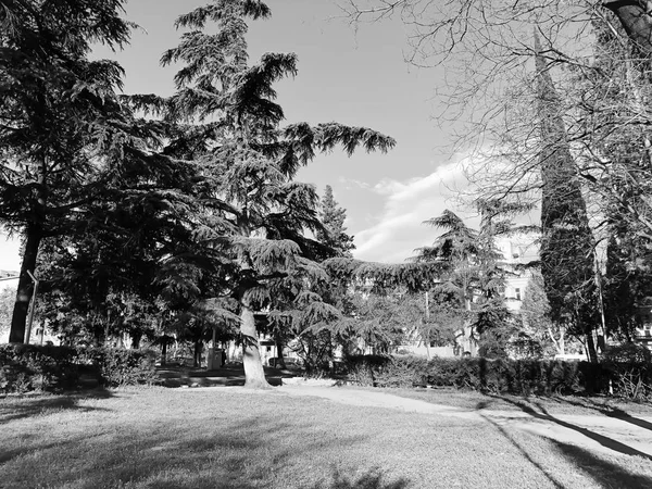 Primavera della giornata al sole nel parco cittadino di Tbilisi, Georgia — Foto Stock