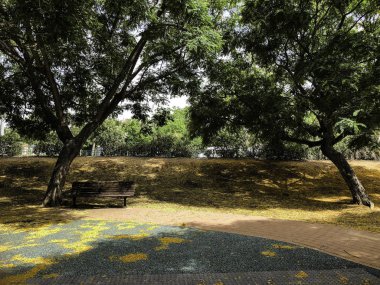 Parkta güzel tezgah. Bahar güneşli gün.
